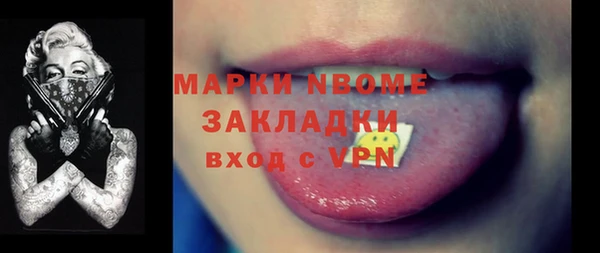 индика Касимов