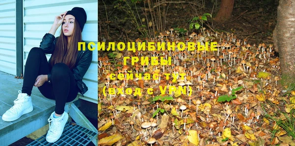 бутират Ельня